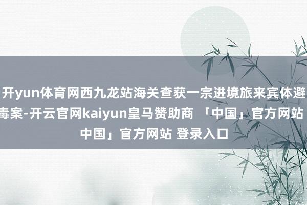 开yun体育网西九龙站海关查获一宗进境旅来宾体避开2克冰毒案-开云官网kaiyun皇马赞助商 「中国」官方网站 登录入口