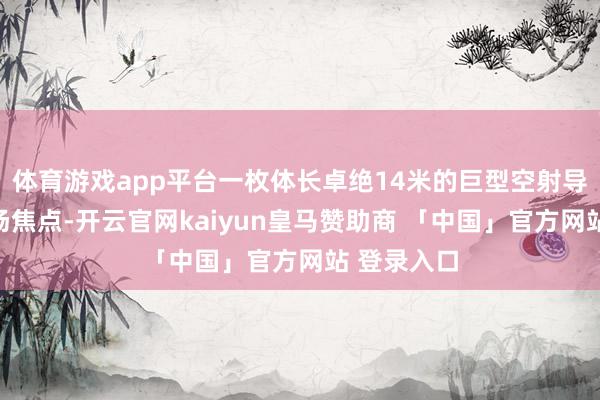 体育游戏app平台一枚体长卓绝14米的巨型空射导弹成为全场焦点-开云官网kaiyun皇马赞助商 「中国」官方网站 登录入口