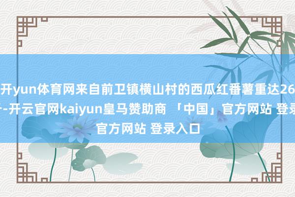 开yun体育网来自前卫镇横山村的西瓜红番薯重达26.23斤-开云官网kaiyun皇马赞助商 「中国」官方网站 登录入口